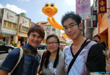 Chinese New Year 2013 at Chinatown Singapore
