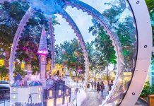 5 Quirky Ways to Celebrate Christmas in New South Wales Christmas New South Wales