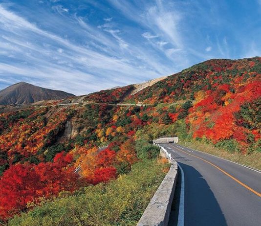 Tohoku Road Trip Guide