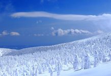 Magical Snowy Charms Of Winter Tohoku