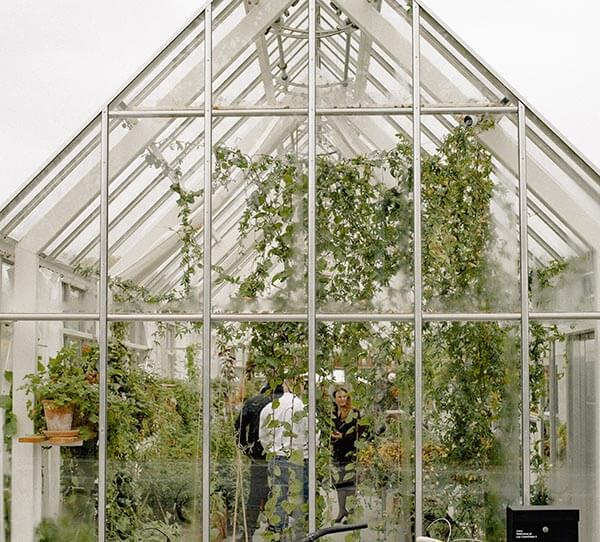 greenhouse guide